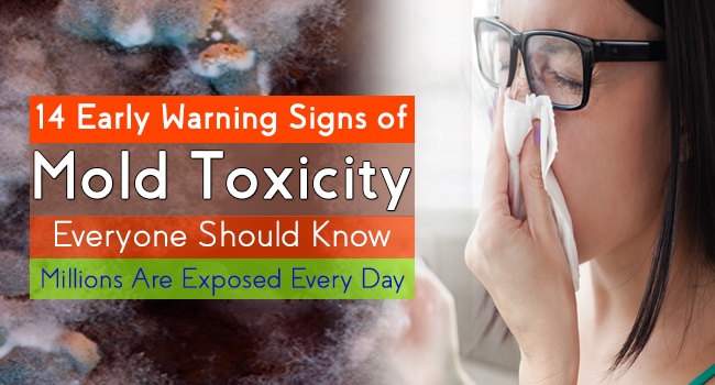 14 Early Warning Signs Of Mold Toxicity Everyone Should Know (Millions ...