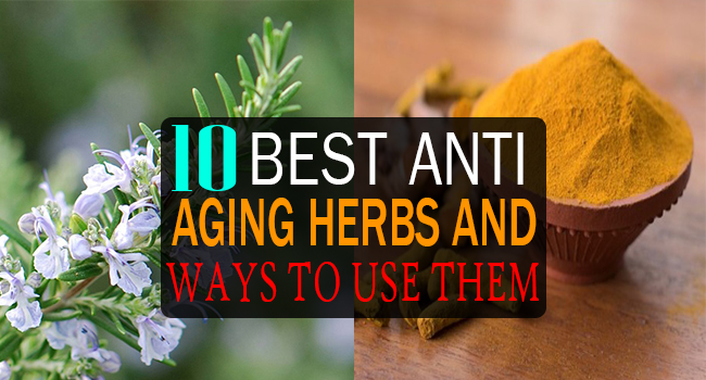 10 Best Anti Aging Herbs And Ways To Use Them Remedies Lore 8560