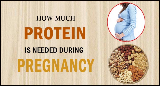 how-much-protein-is-needed-during-pregnancy-remedies-lore