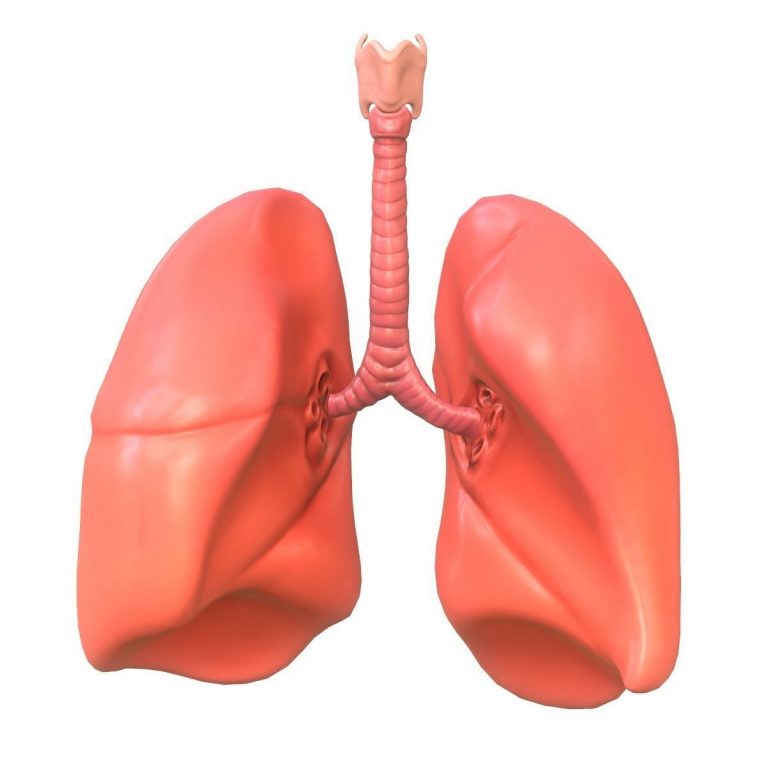 Lungs Detox Recipe For All The Smokers Out There - Remedies Lore