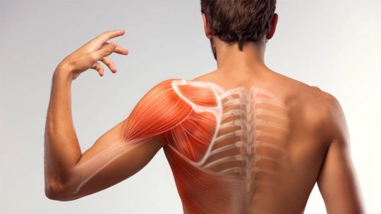 how-to-relieve-shoulder-blade-pain-remedies-lore