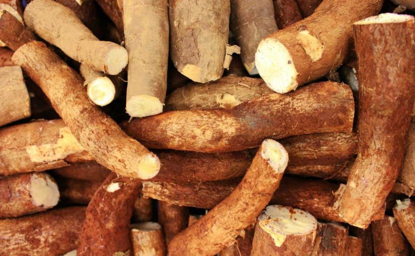 10 Health Benefits of Cassava