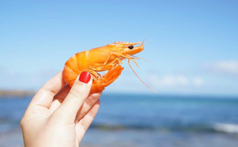 10 Health Benefits of Shrimp