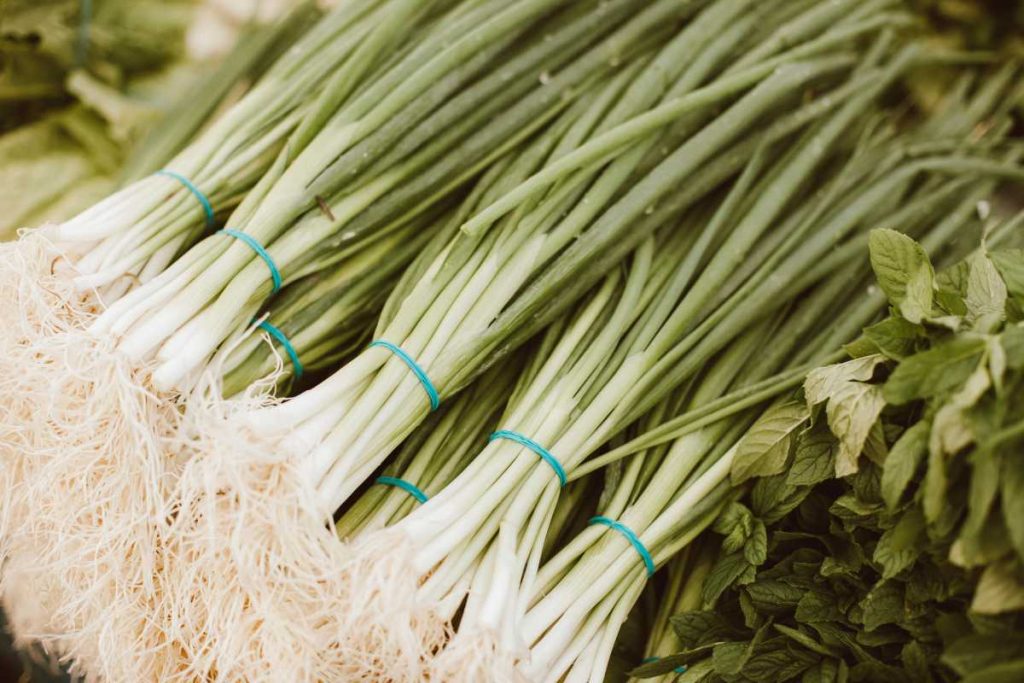 10 Health Benefits of Scallions