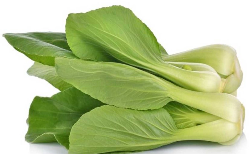 10 Health Benefits of Bok Choy