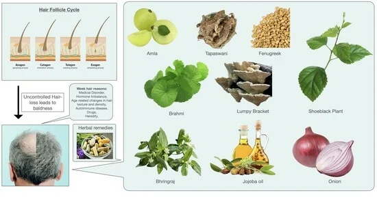 Top 7 Ayurvedic Remedies for Fast Hair Growth